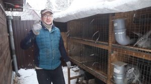 Содержание кроликов на полах из шифера! Изготавливаем трапики для кроличьих клеток!