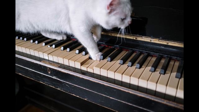 good piano music смотреть онлайн