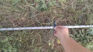 Тест металлоискателя Кощей-5И