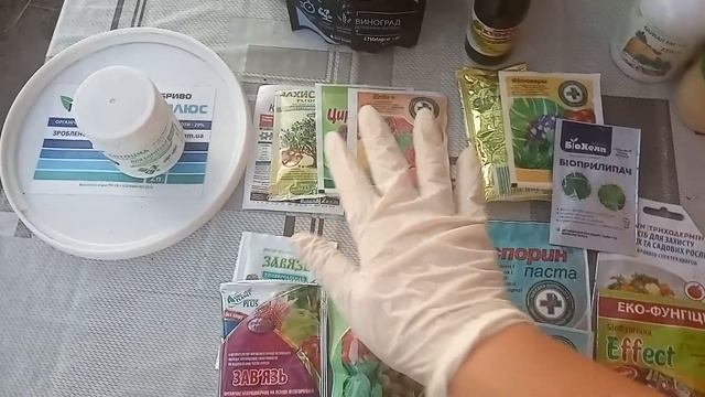 Уход за клубникой после посадки: инструкция по использованию биопрепаратов