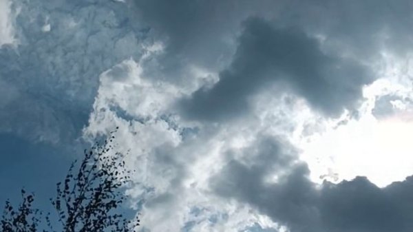 ЗИМНИЙ РОМАН