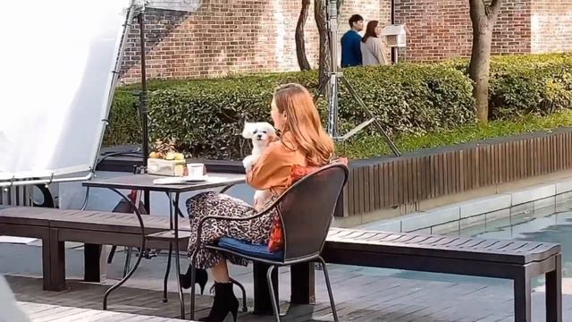 Model Vlog #2 Снимаем рекламу для торгового центра смотреть онлайн