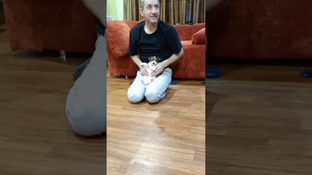 Какие мои девочки были маленькие. смотреть онлайн