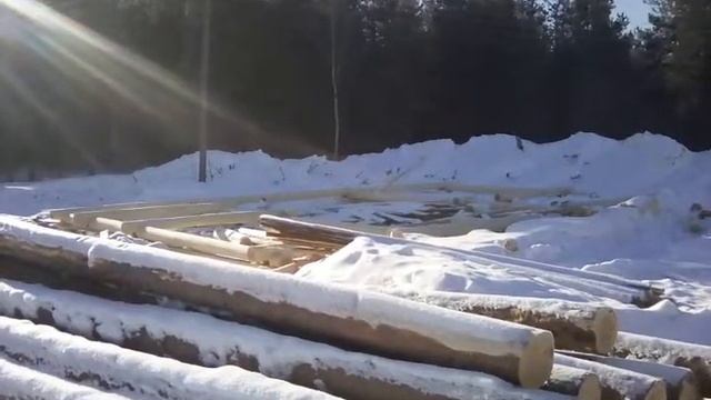 Отборный лес смотреть онлайн