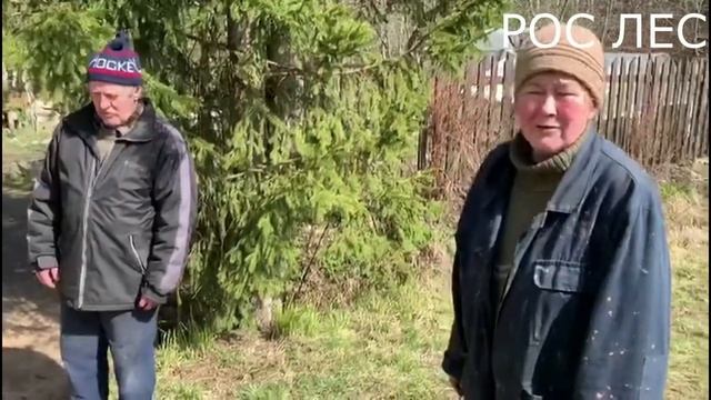 ДРОВА В НОВИНКУ - ОТЗЫВ смотреть онлайн