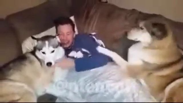 Вот что значит зависть смотреть онлайн