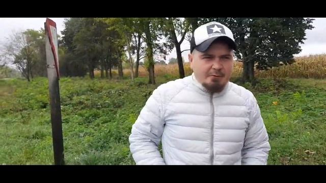 Много гороха для свиней. ЦЕНА. Горох. Пшеница. Откорм свиней. Свиноводство. смотреть онлайн