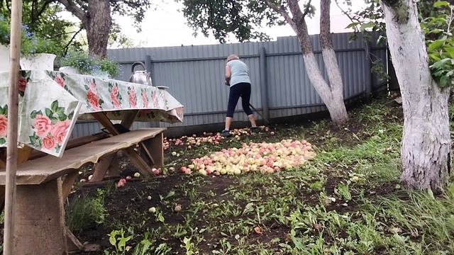 Приехали домой// Схватились за голову// смотреть онлайн