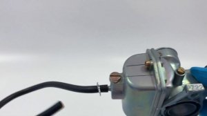 Карбюратор Alpha 110 см3 PZ22 (d22)