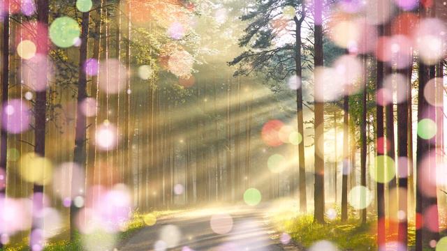 Пение птиц.