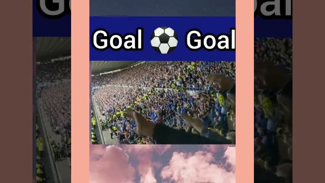 Wolves fans celebrate after Mario Lemina goal vs Tottenham (Wolves 2 Tottenham 1) ⚽⚽⚽ смотреть онлайн