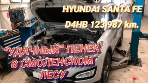 Ремонт Хендай Санта Фе. Замена двигателя D4HB