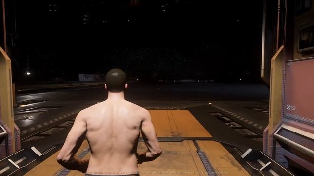 THE 2023 Star Citizen New Player Guide | 3.21.1 | смотреть онлайн