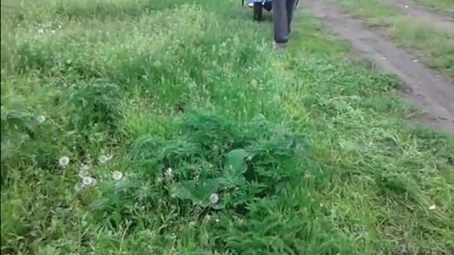 косилка для мотоблока нева мб 2 (глухих) смотреть онлайн