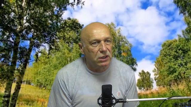 Берёза белая подруга