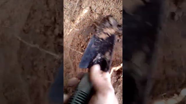 Сарматы или Скифы? смотреть онлайн