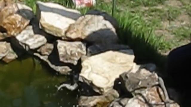 рыбалка дома)))))))))))))))) смотреть онлайн