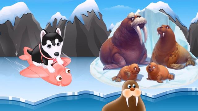 МУЛЬТИК ПРО ЖИВОТНЫХ СЕВЕРА - ЖИВОТНЫЕ СЕВЕРА ДЛЯ МАЛЫШЕЙ смотреть онлайн