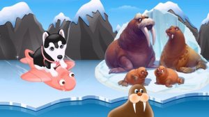 МУЛЬТИК ПРО ЖИВОТНЫХ СЕВЕРА - ЖИВОТНЫЕ СЕВЕРА ДЛЯ МАЛЫШЕЙ