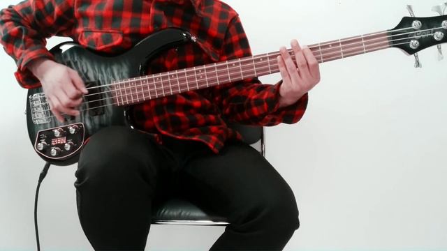 Three Days Grace - I hate everything about you ( Bass Cover ) смотреть онлайн