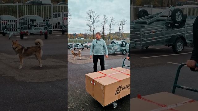 Покупка нового лодочного мотора смотреть онлайн