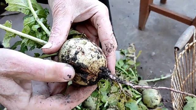 Дом кухня, кухня дом.