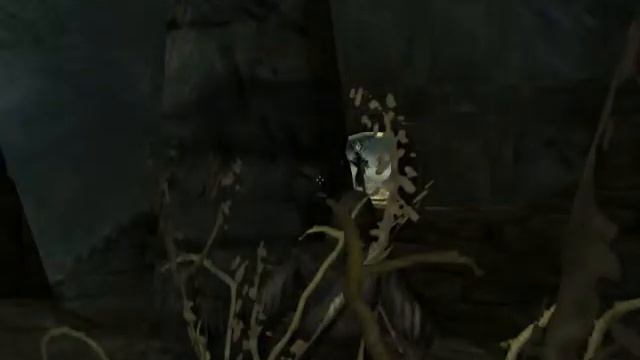 Skyrim - Facing Morokei смотреть онлайн