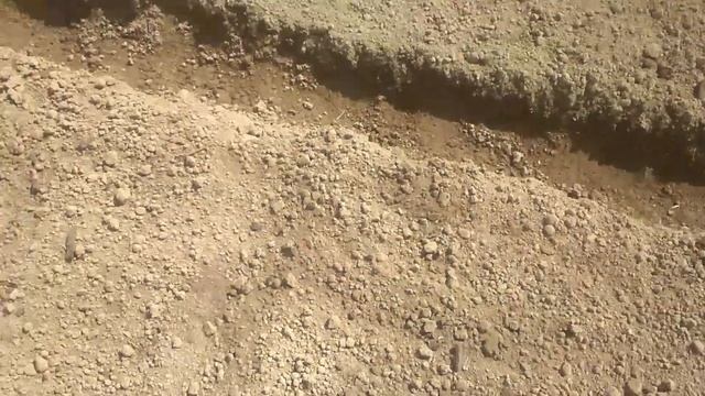 Попробуйте это от луковой мухи смотреть онлайн