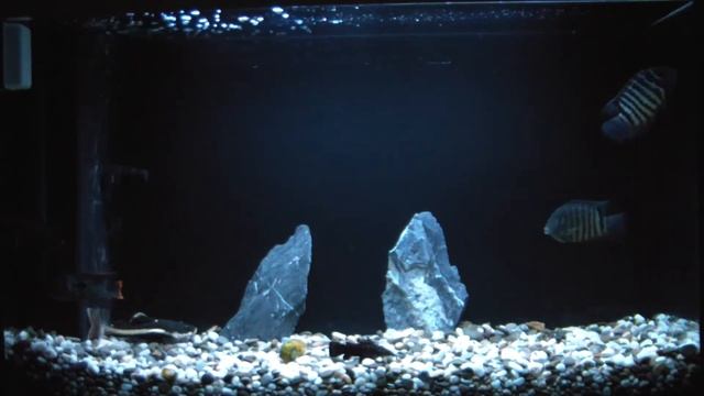 Кристальная Чистая Вода (Донный Фильтр) смотреть онлайн