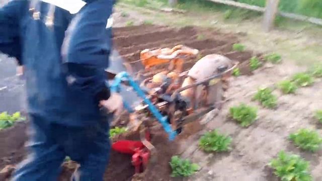 Окучник для картофеля из бензопилы урал