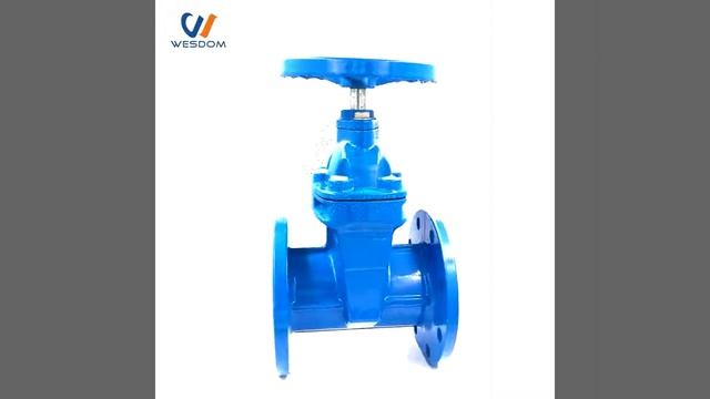 Задвижка чугунная фланцевая, запорный клапан смотреть онлайн