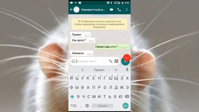 Мистические и легендарные знания эзотерики