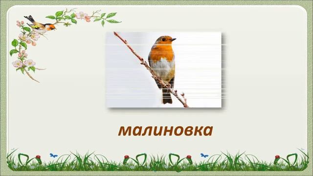 Литературная викторина по книге Яна Ларри «Необыкновенные приключения Карика и Вали»