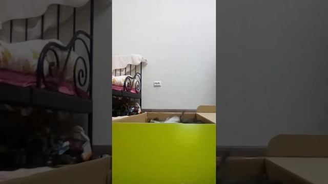 Как ухаживать за морской свинкоӣ смотреть онлайн