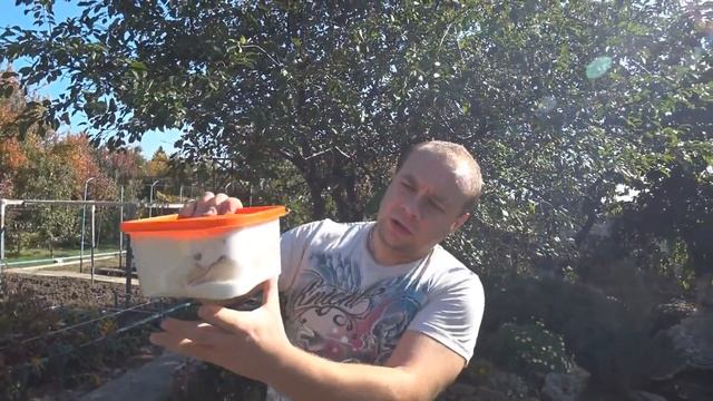 Природные Явления и Феномены