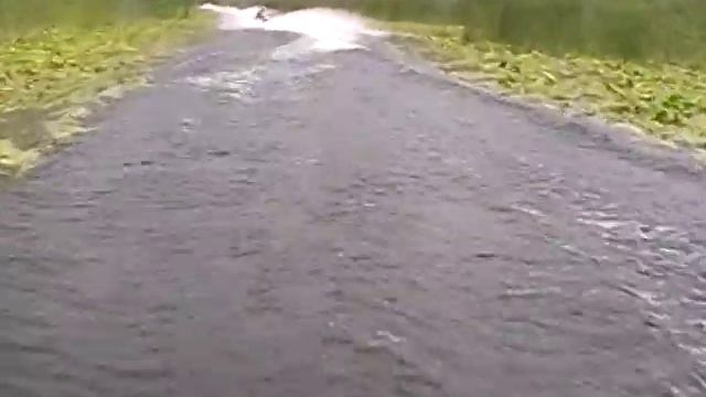 Kherson, Dnepr River Delta (17) смотреть онлайн