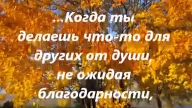 мудрые мысли смотреть онлайн