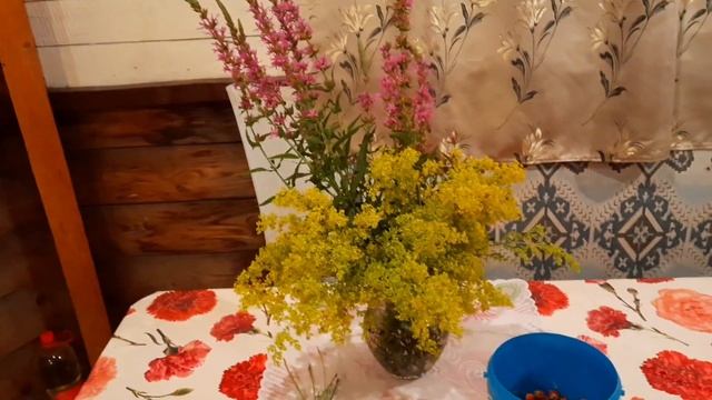 КАКИЕ У МЕНЯ СОСЕДИ??? смотреть онлайн