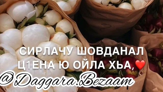 Дала декъал йойл хьо Нана смотреть онлайн