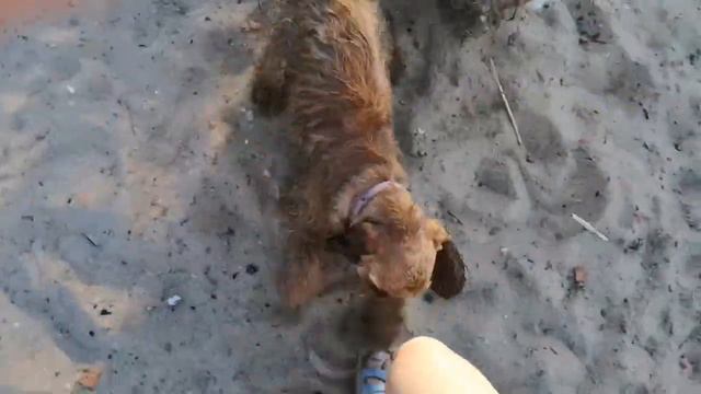 Ребёнок осваивается😍🥰🤗🤗🤗. Первый день пошёл 💗 смотреть онлайн