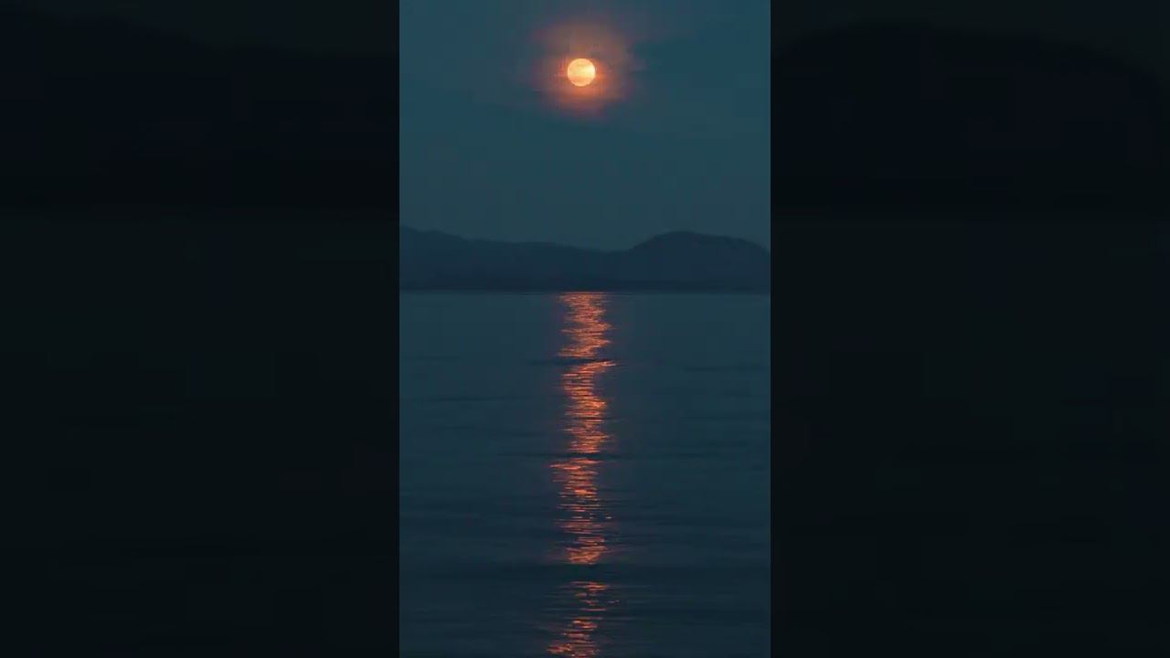 ЭН ФРИ "ВЕЛИЧАЙШАЯ В МИРЕ ЛОЖЬ..!" смотреть онлайн