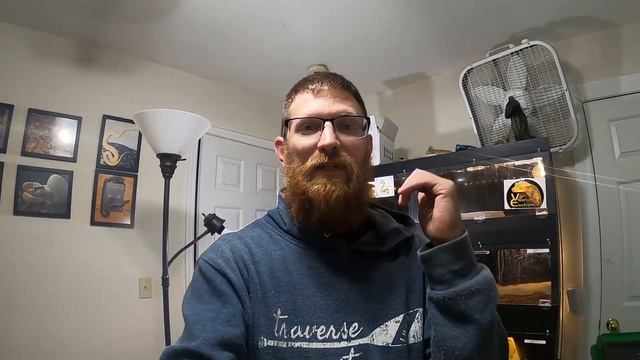 Green Anaconda --ISSUES and UPDATE-- Boa Constrictor looks AMAZING after a SHED смотреть онлайн