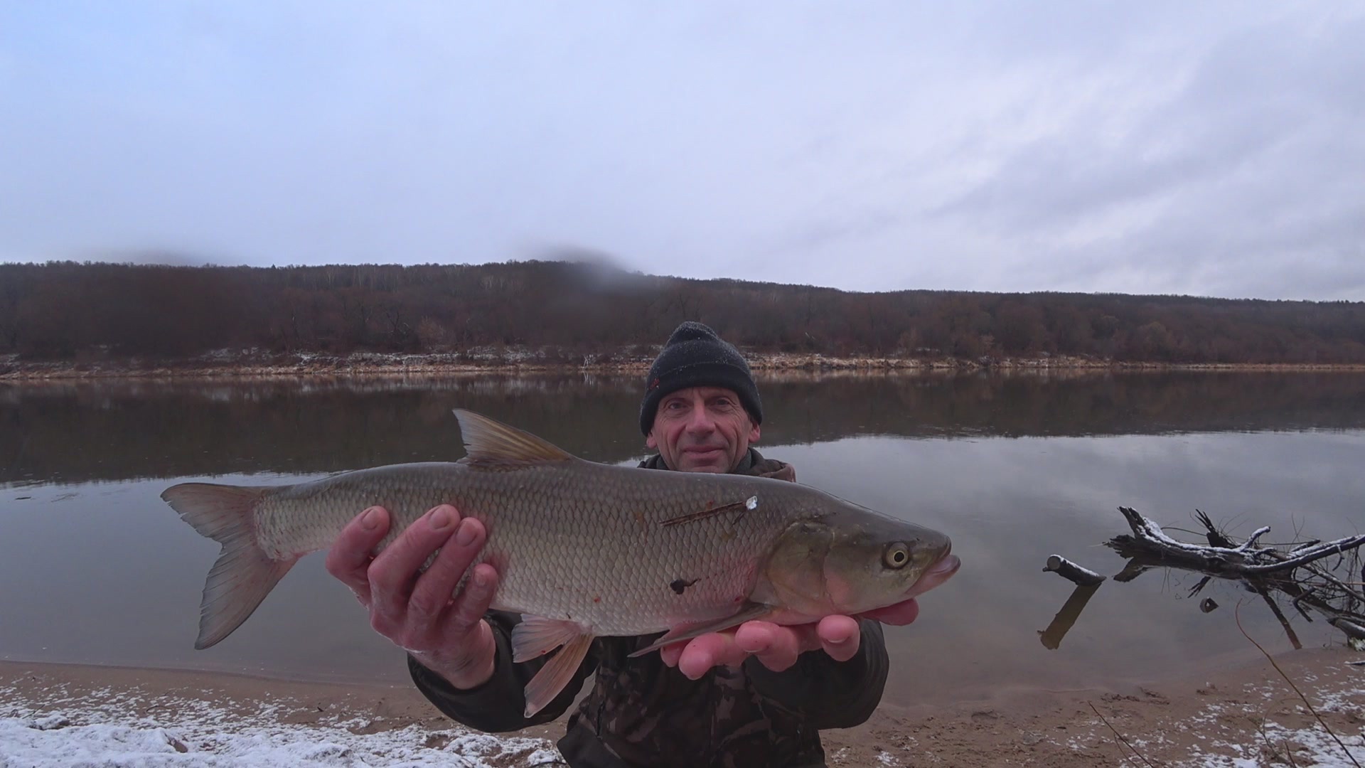Думал голавль, а это Жерех. смотреть онлайн