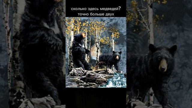 посчитай медведей count the bears #test #puzzles #головоломки #illusions #дляразвития #тесты смотреть онлайн