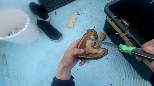 Счастливая Рыбалка на дальнем востоке.Рыбалка на камбалу, минтая.Снасть на камбалу. Удачная рыбалка смотреть онлайн