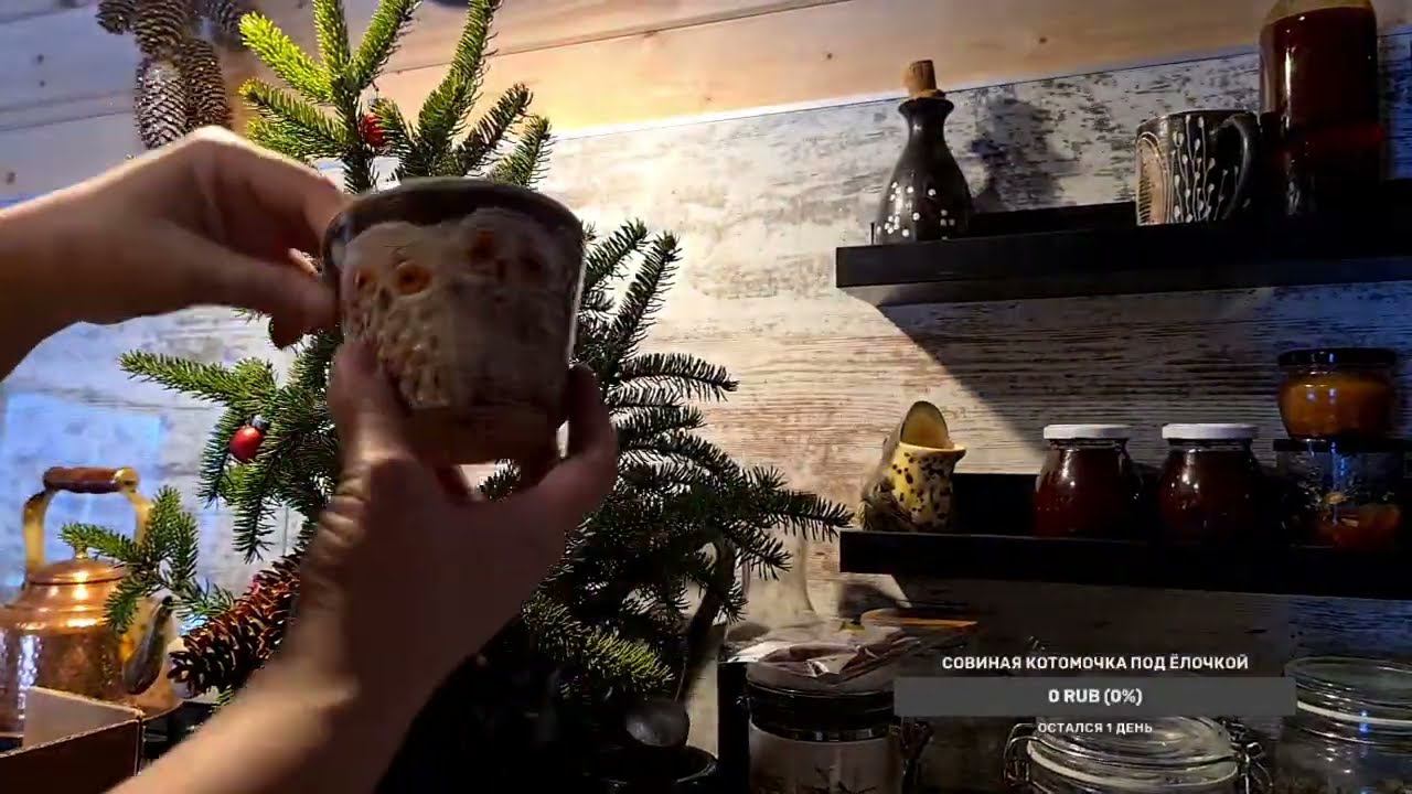 Yoll's добрый Stream из Совиного дола. Новогодняя суета у птичек