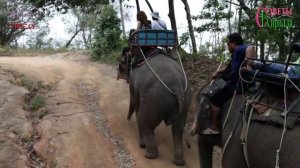 Карон Бич Пхукет Таиланд куда сходить, что смотреть, рекомендации об отдыхе. Чем привлекает Карон?