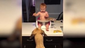 Смешные ДЕТИ и СОБАКИ ??? - Подборка приколов с детьми// Дети играют с собаками