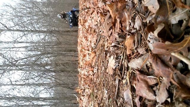 grizzly 300 wheelies смотреть онлайн