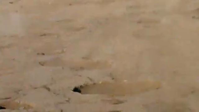 предвыборная гонка в Ершовском районе, Саратовской области смотреть онлайн